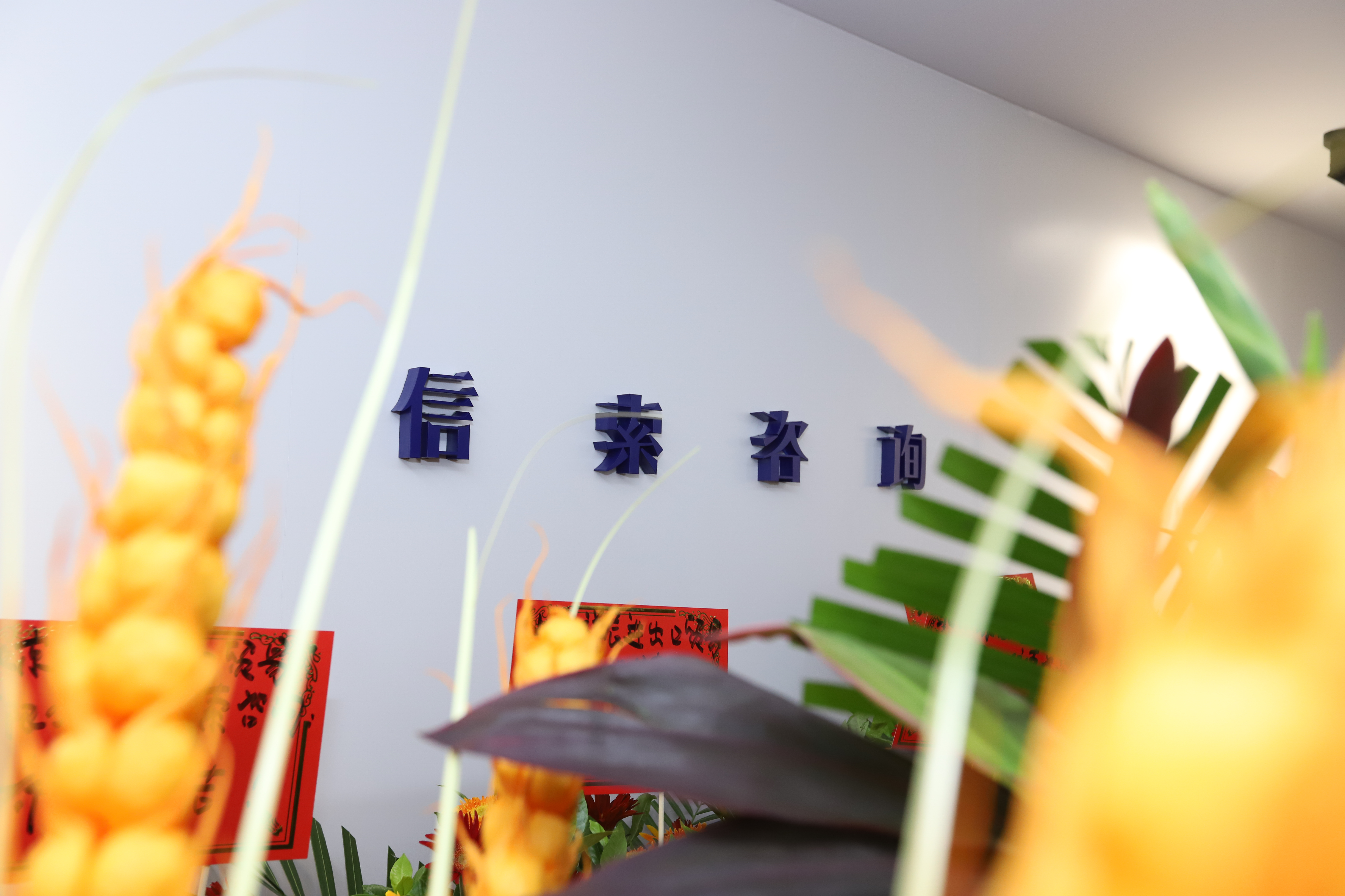 pg赏金女王单机版试玩平台-pg赏金女王单机版试玩平台官方2025最新版11.22.33.350-绿色资源网